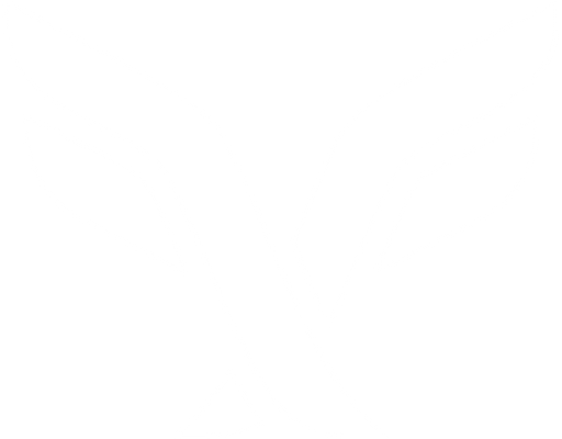 Laissez Faire Consulting Logo